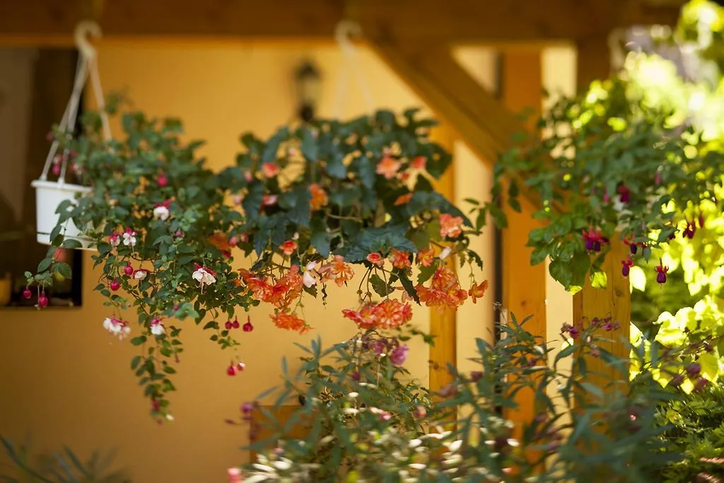 Bacchus Guesthouse Eger 0*,